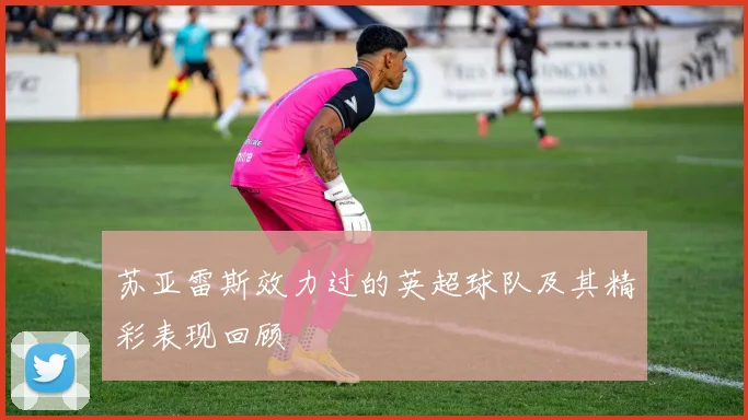 苏亚雷斯效力过的英超球队及其精彩表现回顾