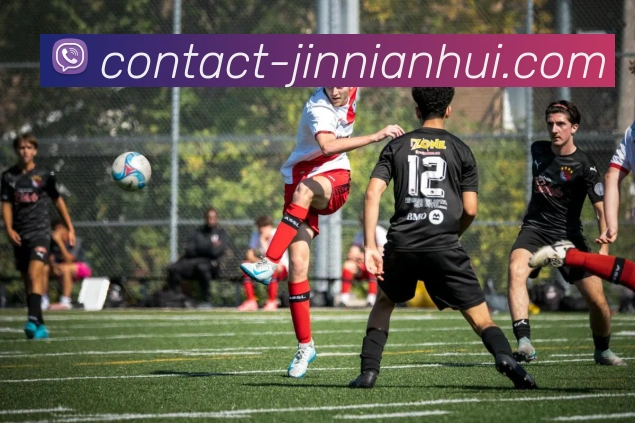 金年会体育全站App 金年会体育全站App